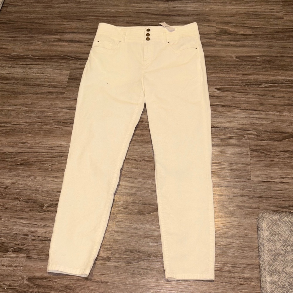 ANN TAYLOR Cream Winter White Velvet Trouser Jeans NWT Sz 12